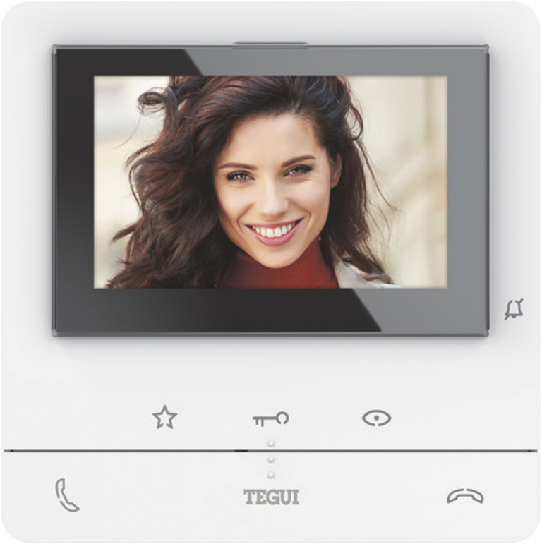 Foto de un MONITOR Tegui MANOS LIBRES CLASSE 100